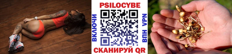 Галлюциногенные грибы MAGIC MUSHROOMS Никольское
