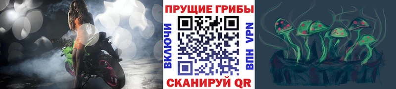 Галлюциногенные грибы ЛСД купить Никольское